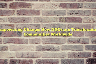 Empowering Change: How NGOs are Transforming Communities Worldwide