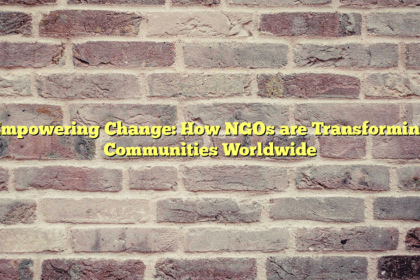 Empowering Change: How NGOs are Transforming Communities Worldwide