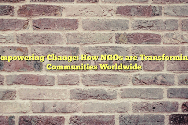 Empowering Change: How NGOs are Transforming Communities Worldwide