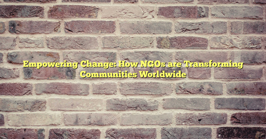 Empowering Change: How NGOs are Transforming Communities Worldwide