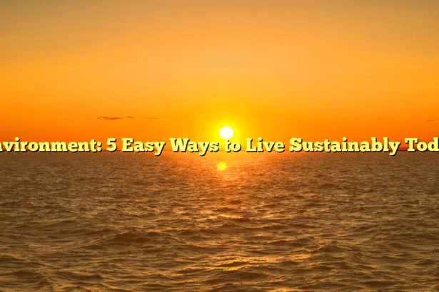 Environment: 5 Easy Ways to Live Sustainably Today