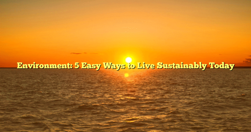 Environment: 5 Easy Ways to Live Sustainably Today