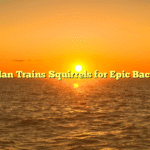 Odd News: Man Trains Squirrels for Epic Backyard Races!